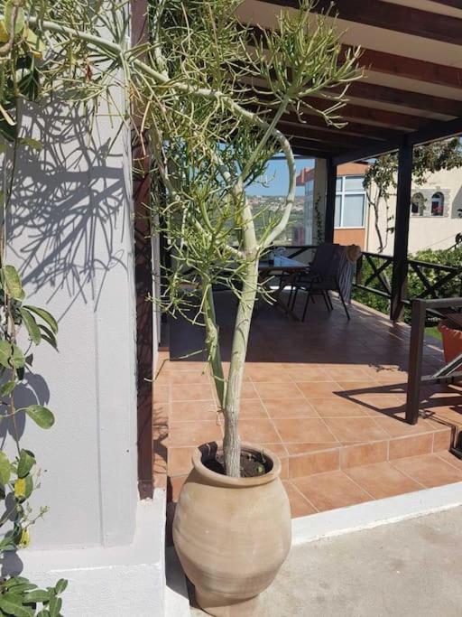 Amalthia Sitia (Crete) Exterior foto