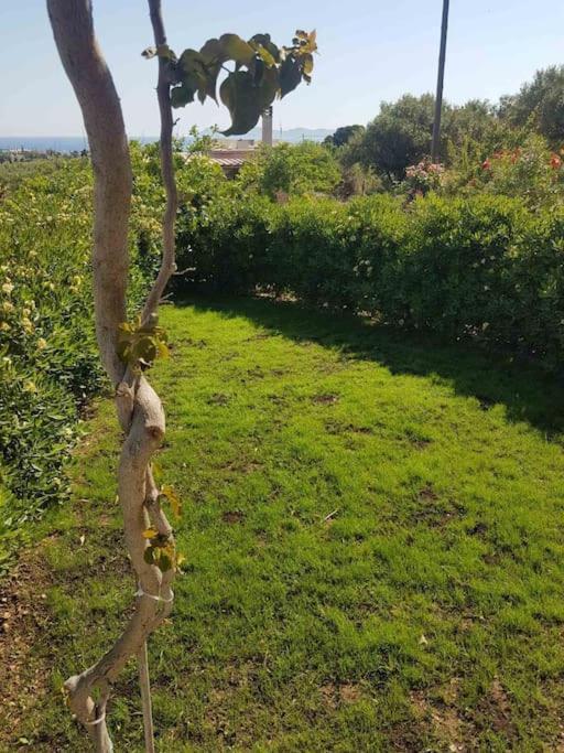 Amalthia Sitia (Crete) Exterior foto